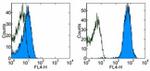 CD45.1 Antibody in Flow Cytometry (Flow)