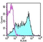 CD62L (L-Selectin) Antibody in Flow Cytometry (Flow)