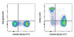 CD90.2 (Thy-1.2) Antibody in Flow Cytometry (Flow)