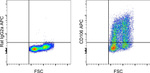 CD106 (VCAM-1) Antibody in Flow Cytometry (Flow)