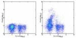 CD117 (c-Kit) Antibody in Flow Cytometry (Flow)