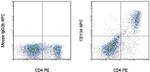 CD134 (OX40) Antibody in Flow Cytometry (Flow)