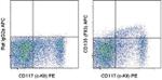 CD135 (Flt3) Antibody in Flow Cytometry (Flow)