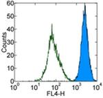 CD144 (VE-cadherin) Antibody in Flow Cytometry (Flow)