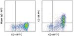 CD169 (Siglec-1) Antibody in Flow Cytometry (Flow)