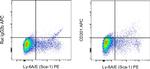 CD201 (EPCR) Antibody in Flow Cytometry (Flow)