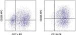 CD205 Antibody in Flow Cytometry (Flow)