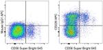 CD226 (DNAM-1) Antibody in Flow Cytometry (Flow)