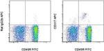 CD317 (BST2, PDCA-1) Antibody in Flow Cytometry (Flow)