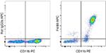 F4/80 Antibody in Flow Cytometry (Flow)