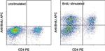 BrdU Antibody in Flow Cytometry (Flow)