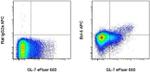 BCL6 Antibody in Flow Cytometry (Flow)