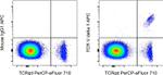 TCR V delta 1 Antibody in Flow Cytometry (Flow)