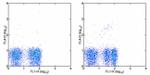 TCR gamma/delta Antibody in Flow Cytometry (Flow)