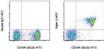 Siglec-G Antibody in Flow Cytometry (Flow)