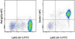 CD369 (Clec7a, Dectin-1) Antibody in Flow Cytometry (Flow)