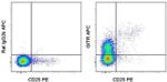 CD357 (AITR/GITR) Antibody in Flow Cytometry (Flow)