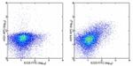 CD357 (AITR/GITR) Antibody in Flow Cytometry (Flow)