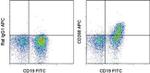 CD268 (BAFF Receptor) Antibody in Flow Cytometry (Flow)