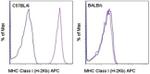 MHC Class I (H-2Kb) Antibody in Flow Cytometry (Flow)