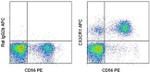 CX3CR1 Antibody in Flow Cytometry (Flow)