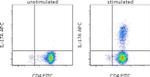 IL-17A Antibody in Flow Cytometry (Flow)