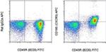 CD185 (CXCR5) Antibody in Flow Cytometry (Flow)