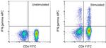 IFN gamma Antibody in Flow Cytometry (Flow)