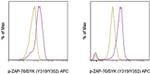 Phospho-ZAP70/Syk (Tyr319, Tyr352) Antibody in Flow Cytometry (Flow)