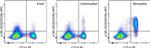 Phospho-S6 (Ser235, Ser236) Antibody in Flow Cytometry (Flow)