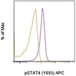 Phospho-STAT4 (Tyr693) Antibody in Flow Cytometry (Flow)