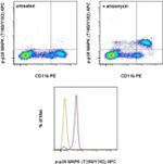 Phospho-p38 MAPK (Thr180, Tyr182) Antibody in Flow Cytometry (Flow)