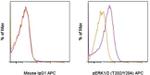 Phospho-ERK1/2 (Thr202, Tyr204) Antibody in Flow Cytometry (Flow)