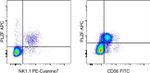 PLZF Antibody in Flow Cytometry (Flow)