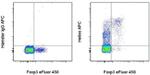 HELIOS Antibody in Flow Cytometry (Flow)