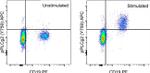 Phospho-PLCG2 (Tyr759) Antibody in Flow Cytometry (Flow)