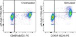 Phospho-PLCG2 (Tyr759) Antibody in Flow Cytometry (Flow)