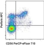 Perforin Antibody in Flow Cytometry (Flow)