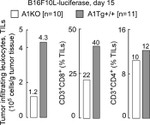 CD45.2 Antibody in Flow Cytometry (Flow)