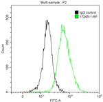 Cytokeratin 16 Antibody in Flow Cytometry (Flow)