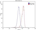 CD33 Antibody in Flow Cytometry (Flow)