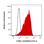 MAP2 Antibody in Flow Cytometry (Flow)