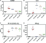 CD49b (Integrin alpha 2) Antibody in Flow Cytometry (Flow)