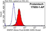 ENPEP Antibody in Flow Cytometry (Flow)