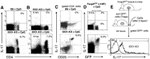 IL-17A Antibody in Flow Cytometry (Flow)