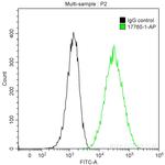 CORO1A Antibody in Flow Cytometry (Flow)