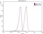 TRAF3 Antibody in Flow Cytometry (Flow)