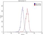 LSR Antibody in Flow Cytometry (Flow)