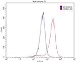 TRPC6 Antibody in Flow Cytometry (Flow)