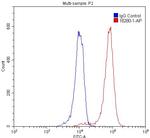 TDP-43 Antibody in Flow Cytometry (Flow)